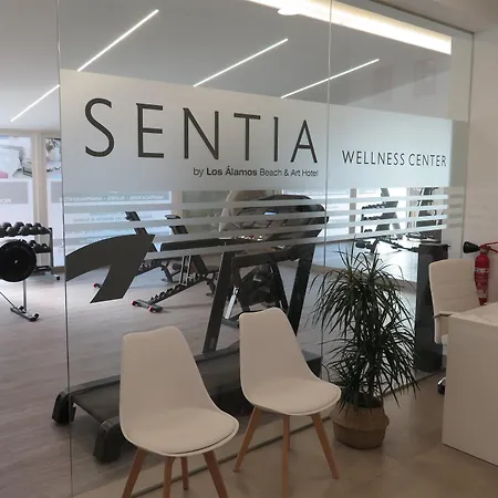 Alamos 4*